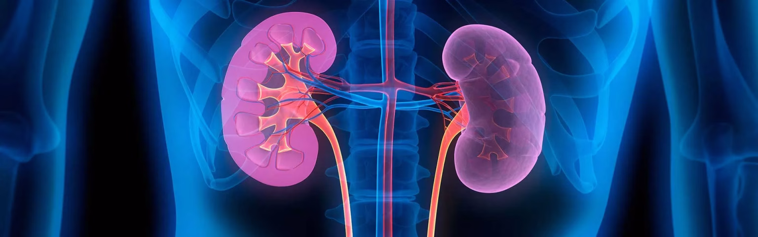 اعراض امراض الكلى