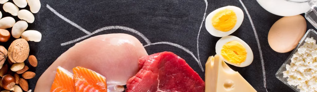 مجموعة من الأطعمة الهامة التي تستخدم للتغذية لزيادة الكتلة العضلية