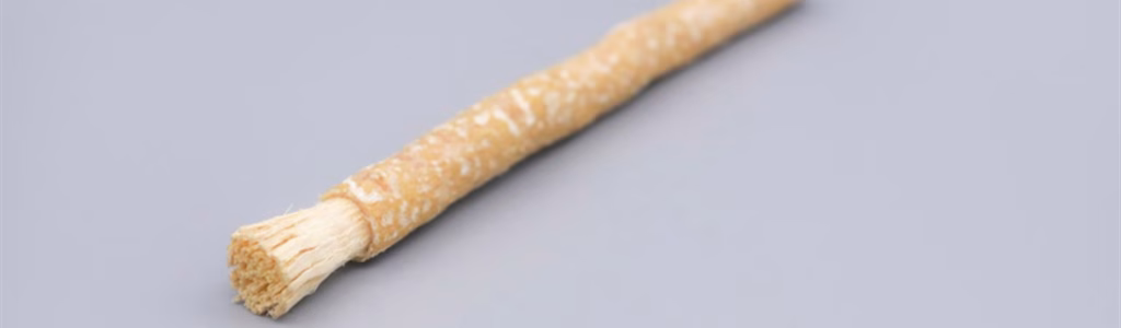 صورة لسواك جاهز للإستخدام و هو معروف بفوائده في السنة النبوية لصحة الفم و الأسنان